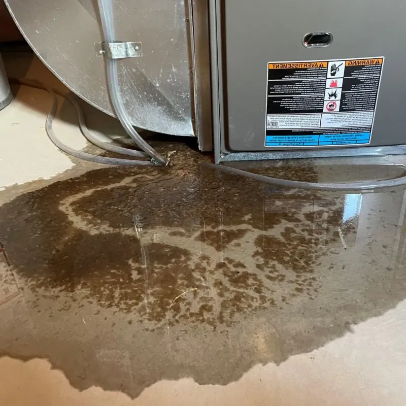 Pipe Burst and Leak Restoration in Rabun County, GA